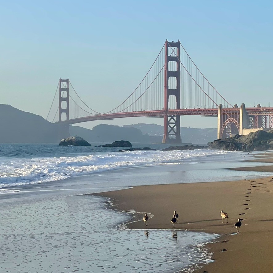 The Golden Gate Bridge above surf and a sandy beach